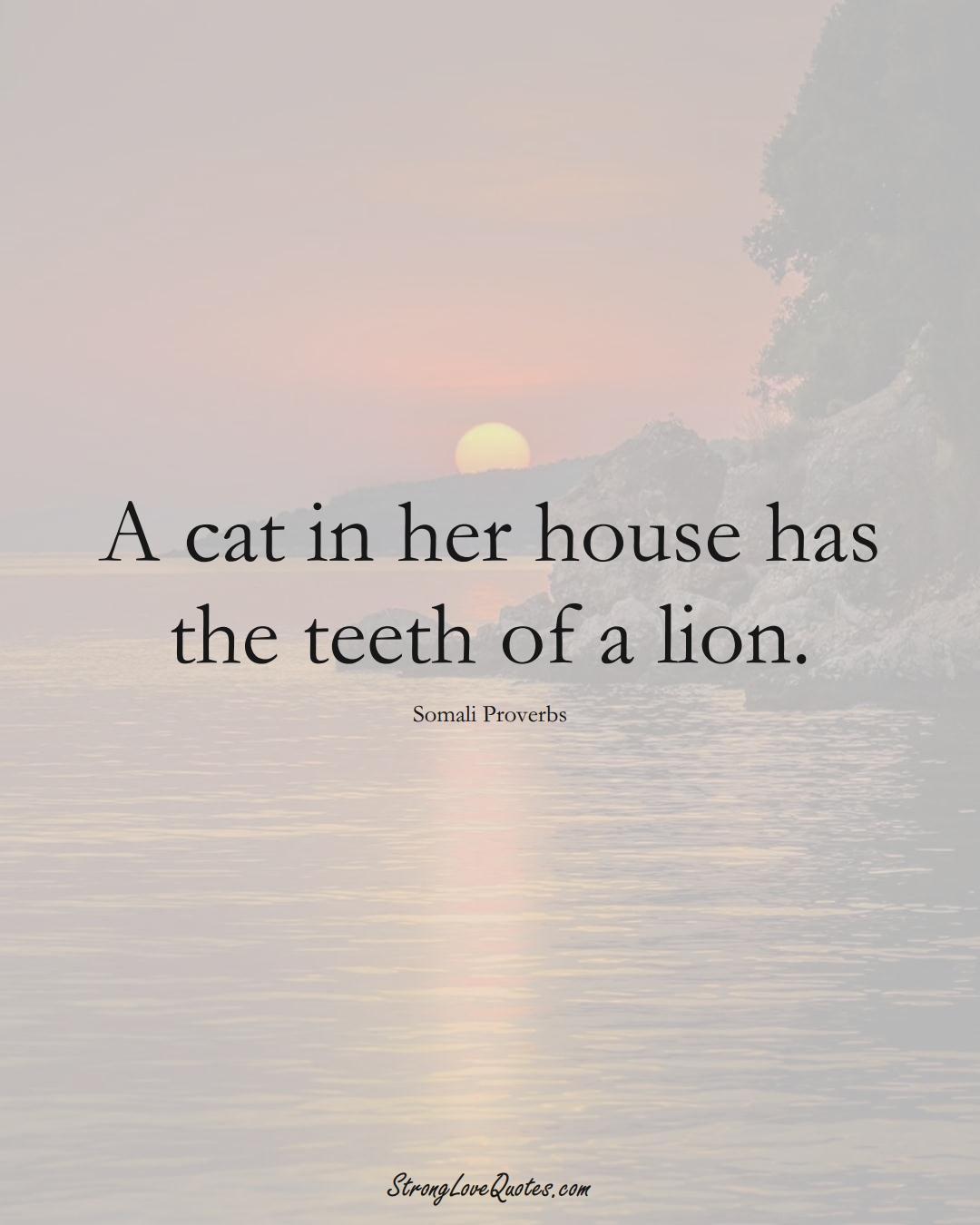A cat in her house has the teeth of a lion. (Somali Sayings);  #AfricanSayings