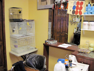 Jean Romano Barber Shop New York City Bird Cages
