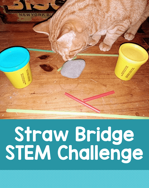 Kelly's Classroom Online Straw Bridge STEM Challenge
