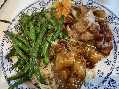plate of take out from Sichuan Style in Berkeley, California