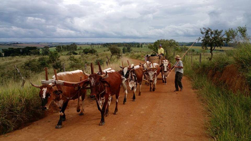Rodojunior celebra 20 anos de história no transporte – Na Boléia