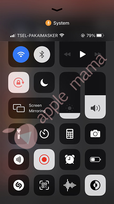 Cara Merekam Layar Iphone Ios 14