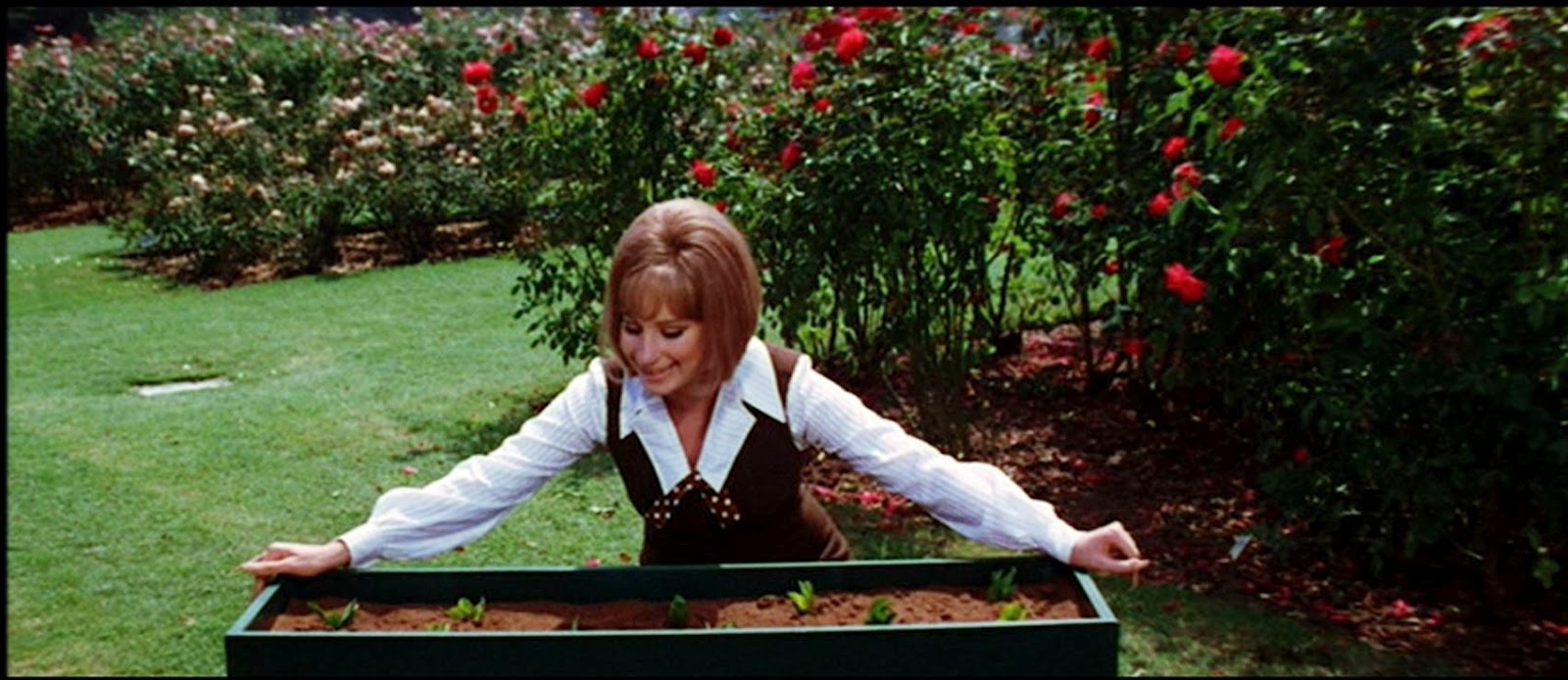 Barbra streisand on a clear day w lyrics youtube