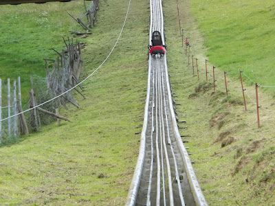 Steve S Roller Coaster Review Blog 2017