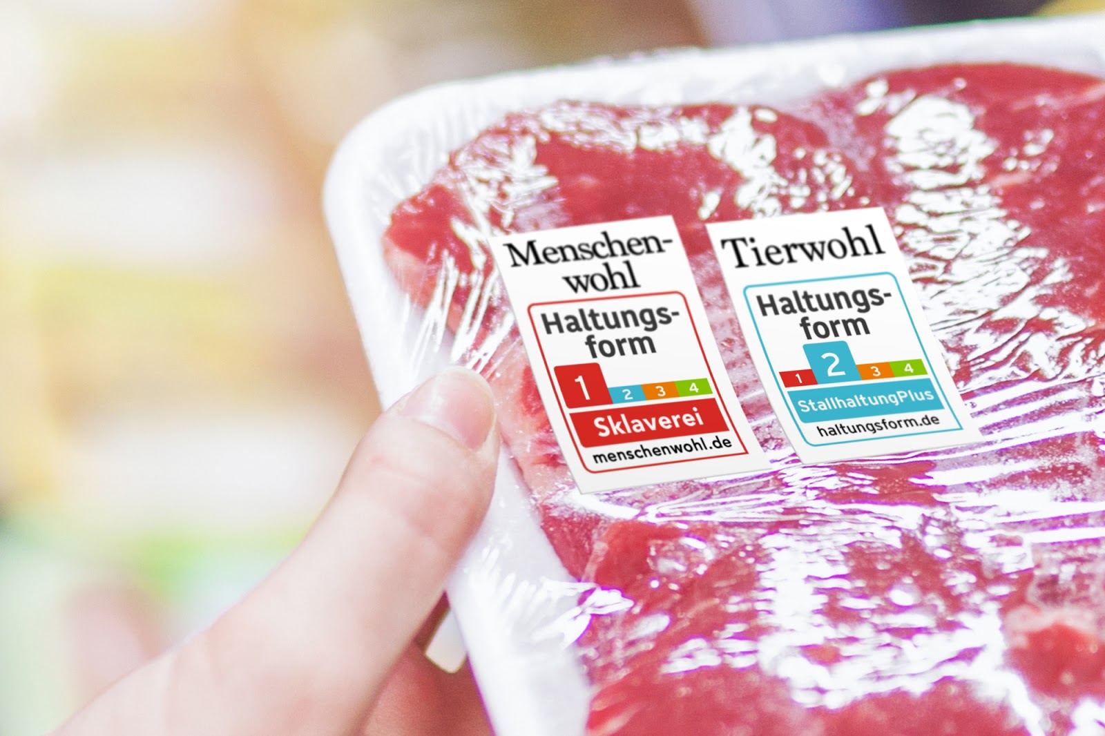 04 01 2017 05 01 2017