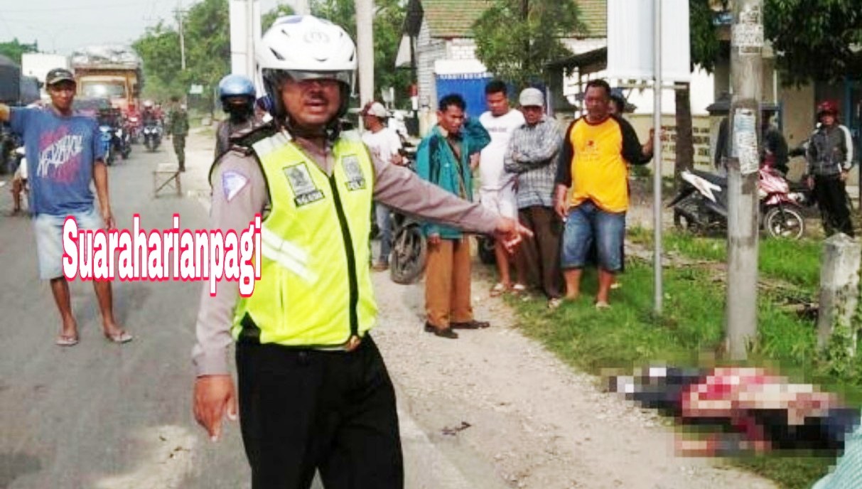 Suaraharianpagi Lamongan