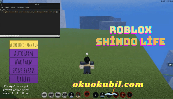Roblox Yeni Shindo Life, AutoFarm Script Hilesi Türkçe Kurulum İndir