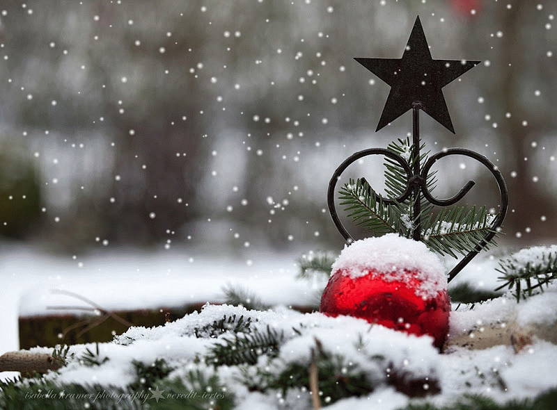 Fällt Weihnachten 2022 Schnee vereditphotographicpoems Frohe Weihnachten! Merry Christmas! Joyeux