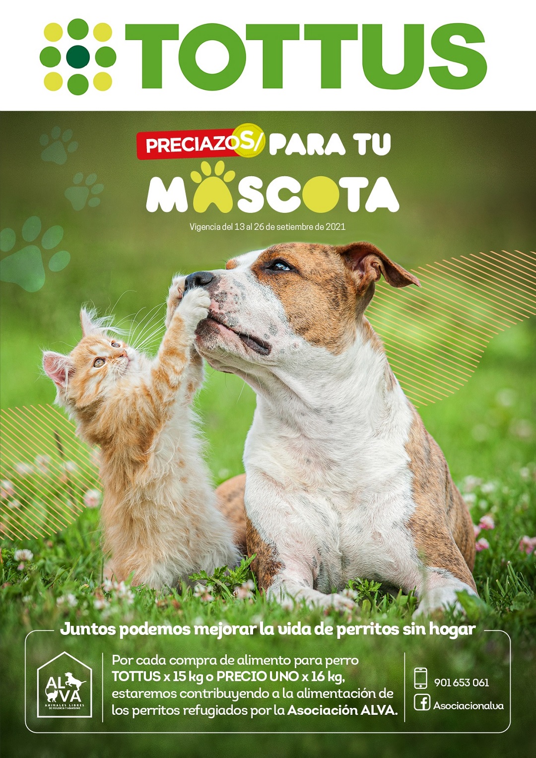 Catalogos en DePeru.com