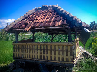 Traditional Shelter Hut Building In The Middle Of Rice Fields At The Village Ringdikit North Bali Indonesia