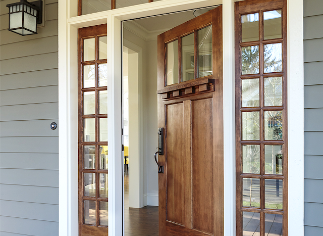 wood panel doors