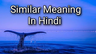 Similar meaning in hindi