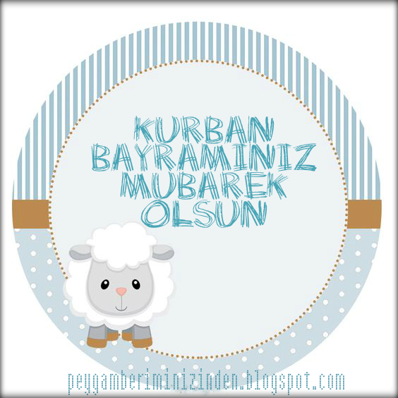 peygamberimin izinden