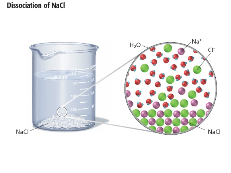 Chemistry Honors Ch 13 Notes through Supersaturated Solutions; Rock
