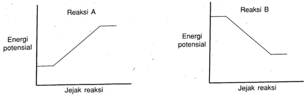 Mengenai Reaksi Endoterm Pernyataan Berikut Yang Benar