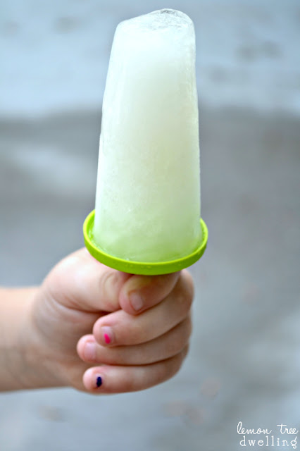 Delicious Flavored Lemonade Popsicles from Lemon Tree Dwelling. Yum!