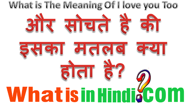 i love you too ka matlab kya hota hai | i love you too का मतलब क्या