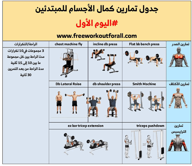 جدول تمارين كمال الأجسام للمبتدئين