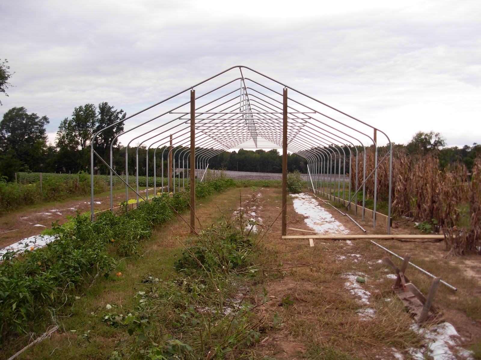 Browder's Fresh Pickins High Tunnel Construction Begins