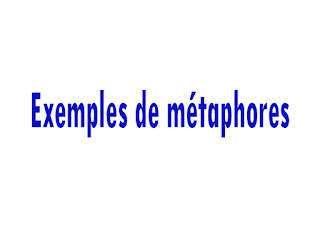 Exemples de métaphore