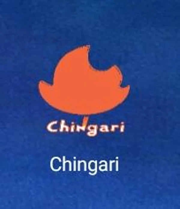 News, National, India, Application, Technology, Bangalore, Social Network, Entertainment, Finance,  How to earn money from chingari app which is alternative to tiktok