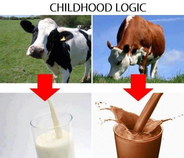 ODO 66 Where Does Chocolate Milk Come From? Odd Dad Out