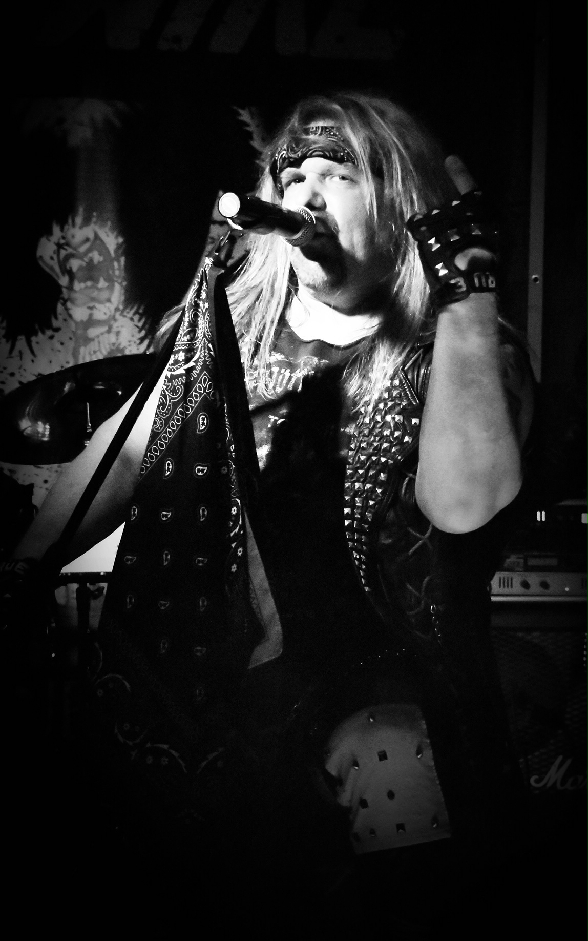 Live Wire, The Premier Motley Crue Tribute Band Pics Live Wire, The