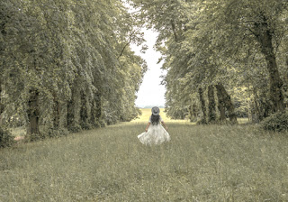 a girl in a white dress stands in a bluebell field (without flowers), with tall, green trees on either side