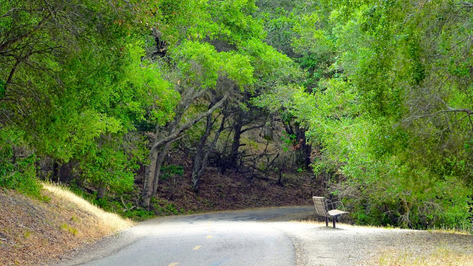 Adventures From A Wheelchair Sawyer Camp Trail