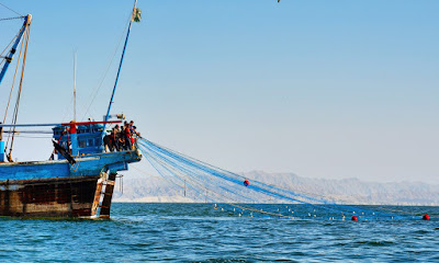 Fishermen throw in their nets in the sea.