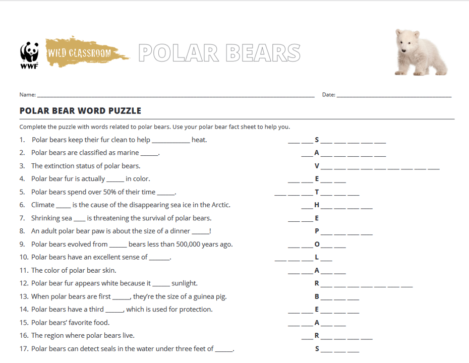 Animals Word Puzzle Learning Materials Free Download