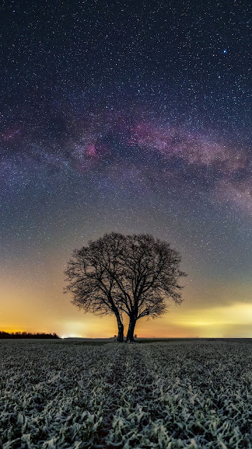 Wallpaper only of the tree of our galaxy at night
