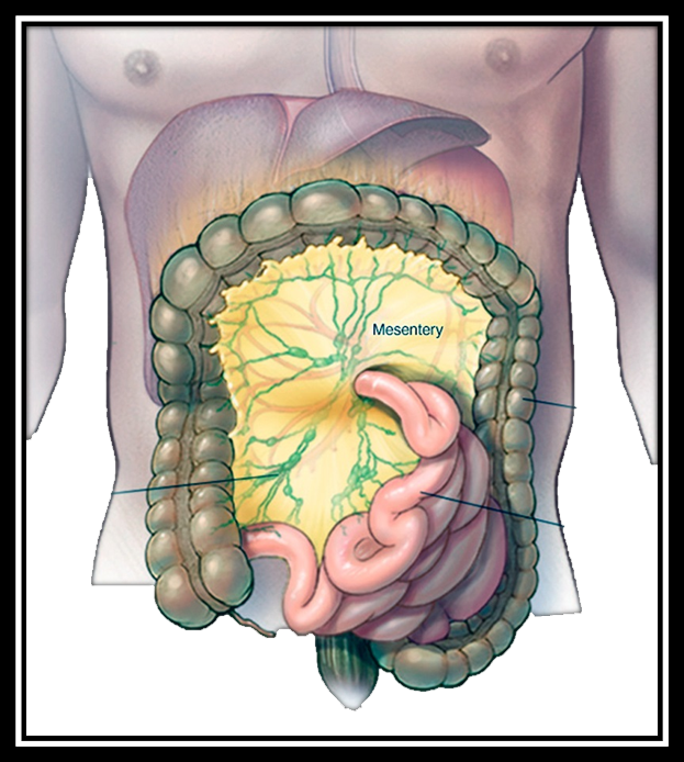 Componentes del TGI Biopsicosalud