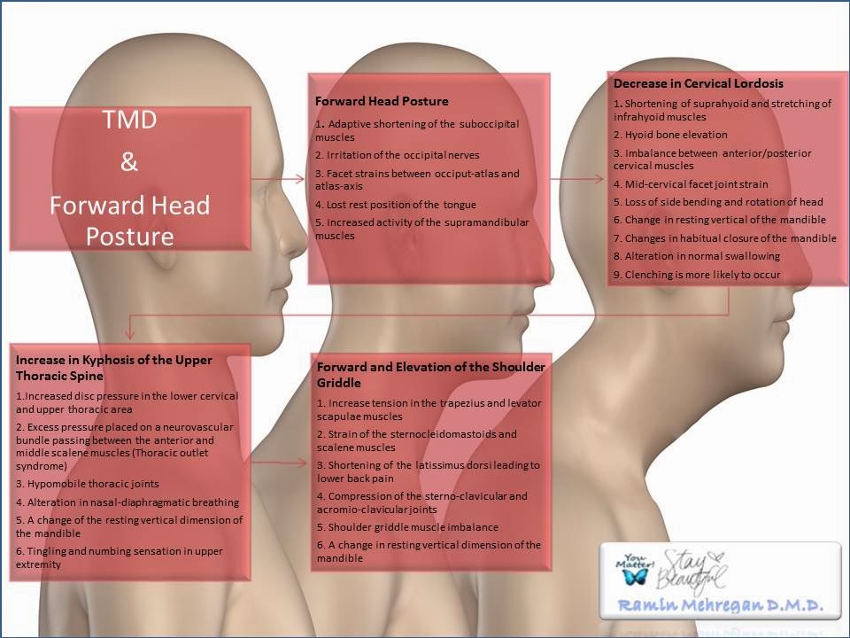 Ramin Mehregan D.M.D. November 2013