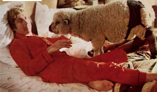 171-0211062623-Everything-you-ever-wanted-to-know-about-sex-Gene-Wilder+lover-sheep.png