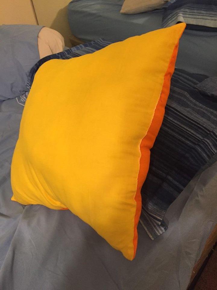 Lumpy's House of Throw Pillows to Lumpy's House of Throw Pillows