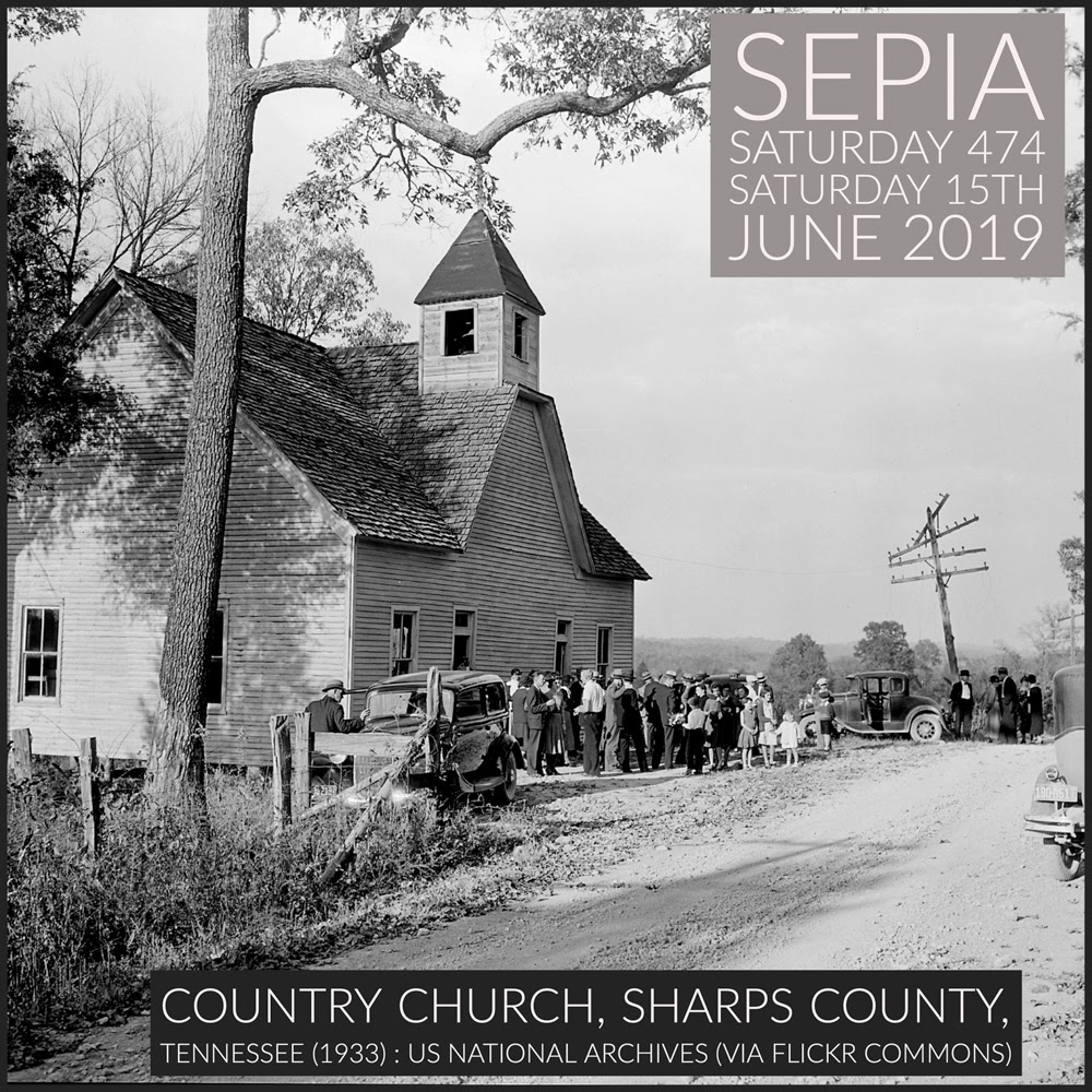 Three Family Trees Sharps Chapel, Tennessee