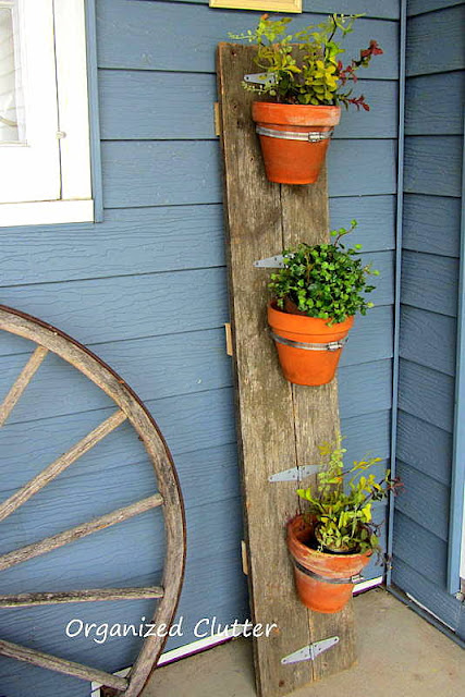 Weathered Wood/Terracotta Pot Planter