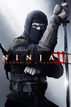 Ninja: Shadow of a Tear 2013 Dual Audio Hindi ENG BDRip 720p Ninja: Shadow of a Tear 2013 Dual Audio Hindi ENG BDRip 720p