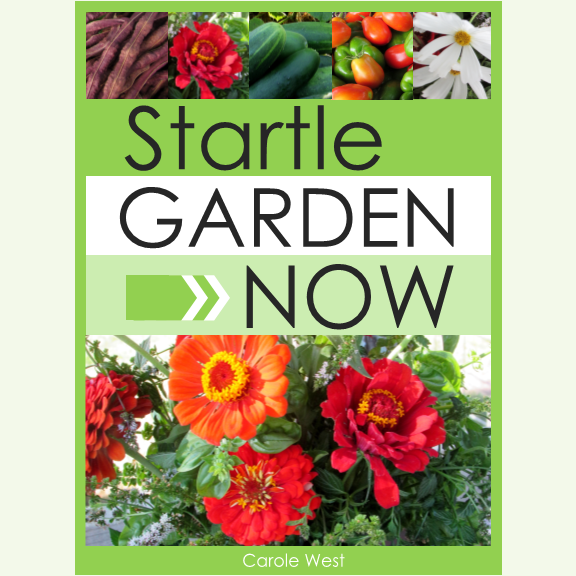 Carole West, Garden Up Green, Garden, Gardening, Handbook