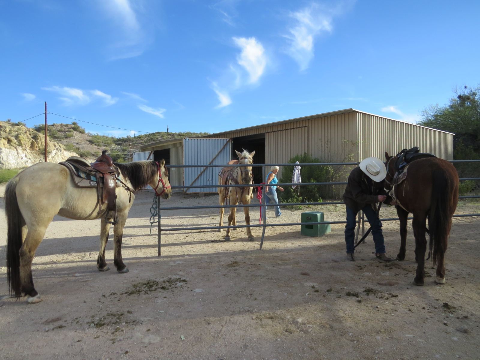 Where's Liz? 2016 Horseback Riding in Wickenburg, AZ