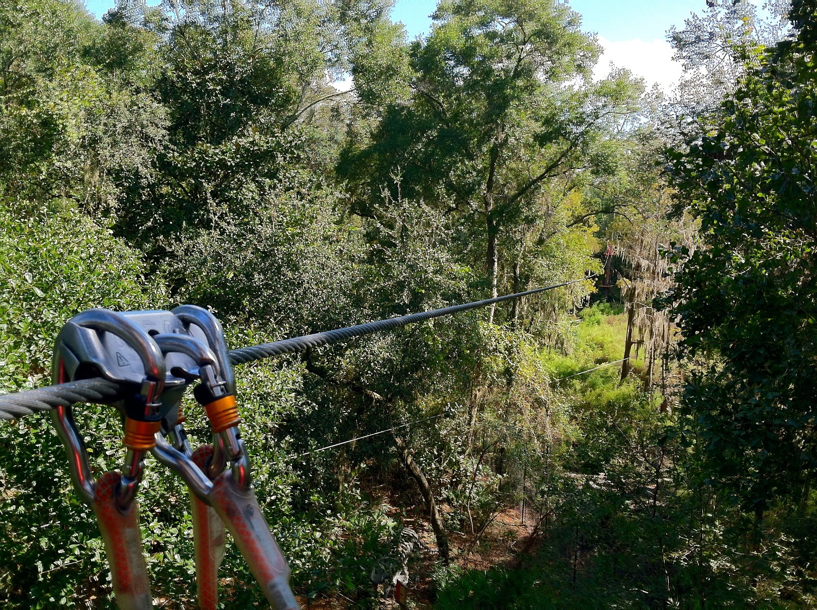 The TreetoTree Adventure at Tallahassee Museum The World of Deej