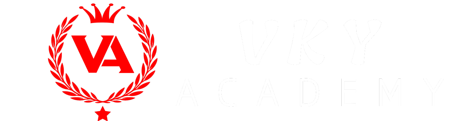 Vky Academy