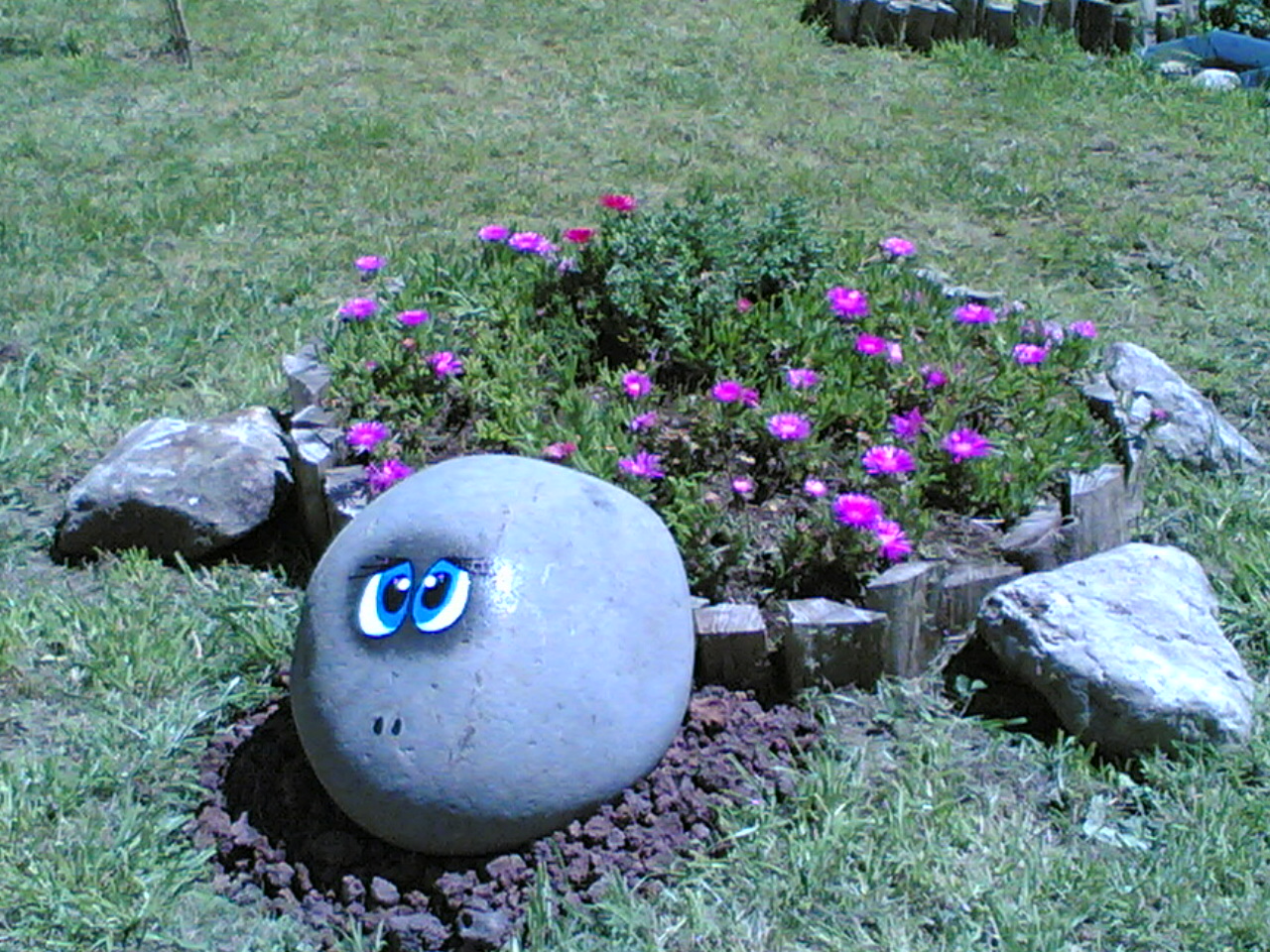decoração de jardim pedras pintadas cores arte pedras pintadas o meu jardim decoração de jardim pedras pintadas cores arte pedras pintadas o meu jardim