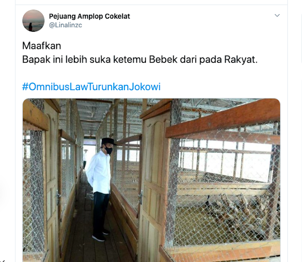 Viral Foto Jokowi Lebih Suka Lihat Bebek Ketimbang Pendemo Omnibus Law Ciptaker