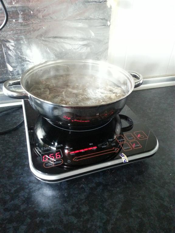 Miles of smiles Induction cooker pros and cons