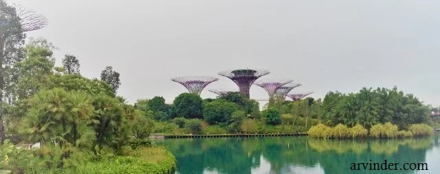 Gardens by the Bay Singapore