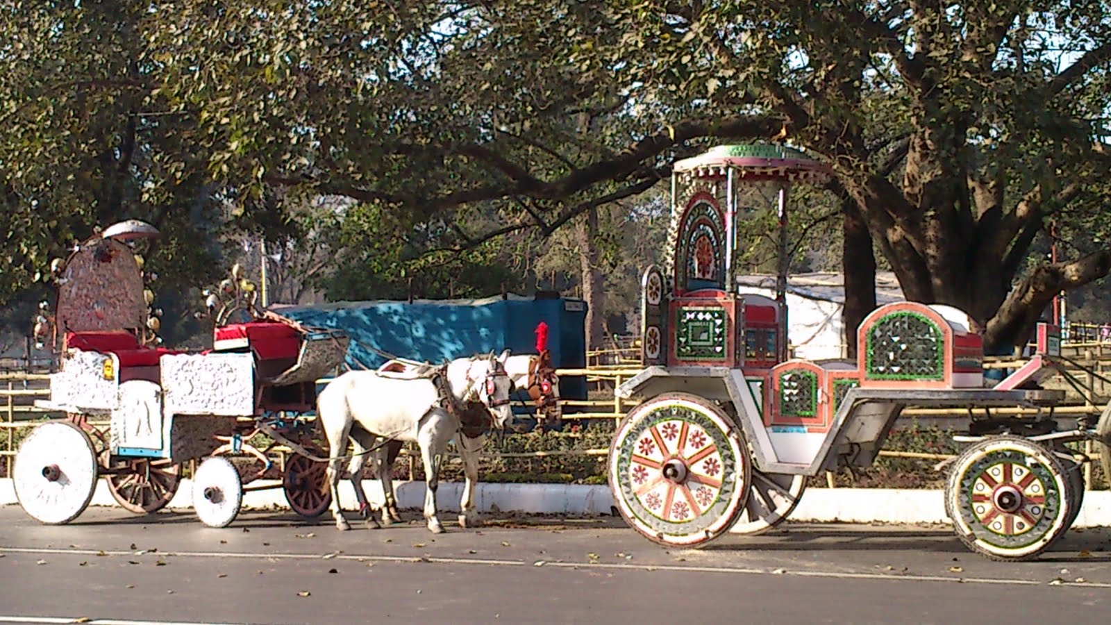 Asim Bando's KOLKATA BLOG Horsetrodden Carts Heritage Of Kolkata