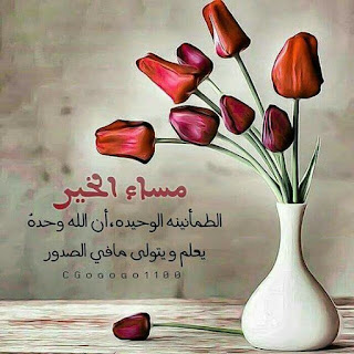 صور مساء الخير Good-evening HD بوستات وبطاقات مساء الخير