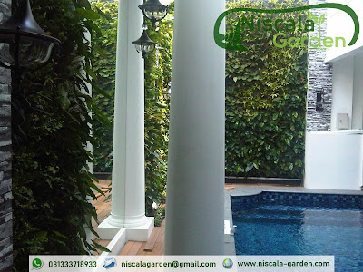 Tukang Taman Vertikal Pasuruan